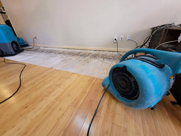 Professional Water Damage Repair technician working in Mesa, CO